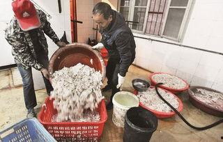 新闻爆料香肠黑作坊视频,香肠黑作坊生产过程触目惊心